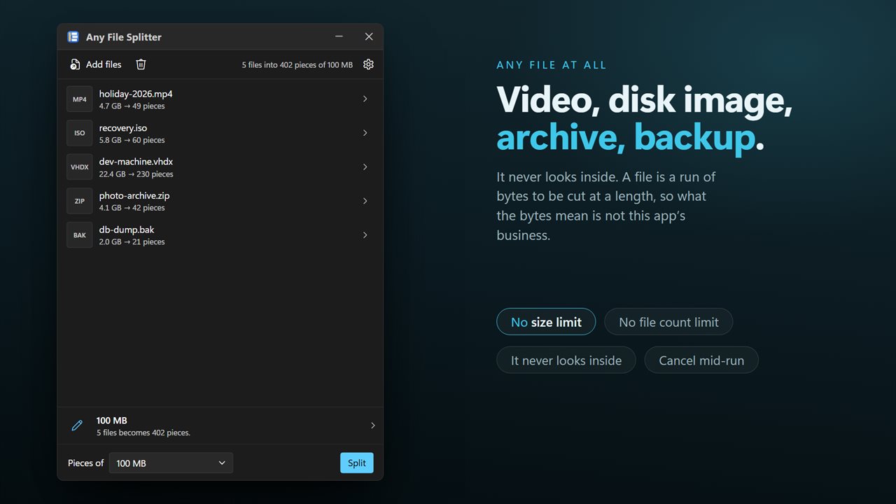 Any file at all — video, disk image, archive, backup.