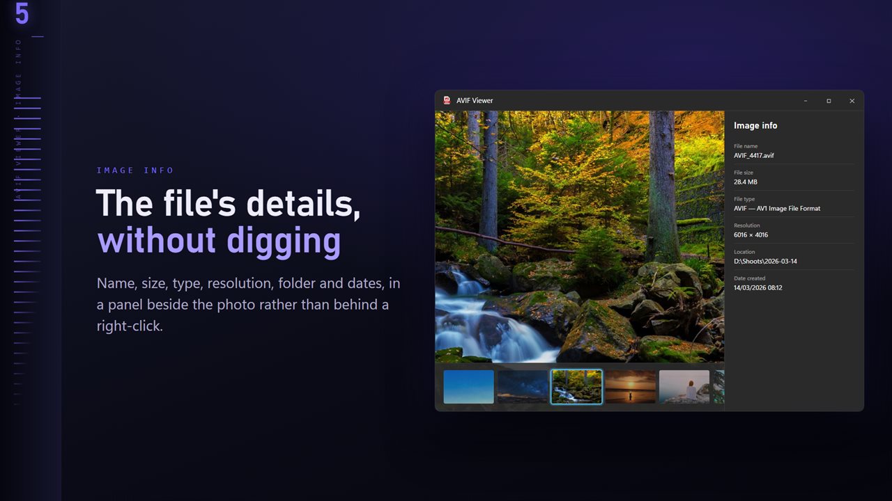 Name, size, type, resolution and dates, in a panel beside the image.