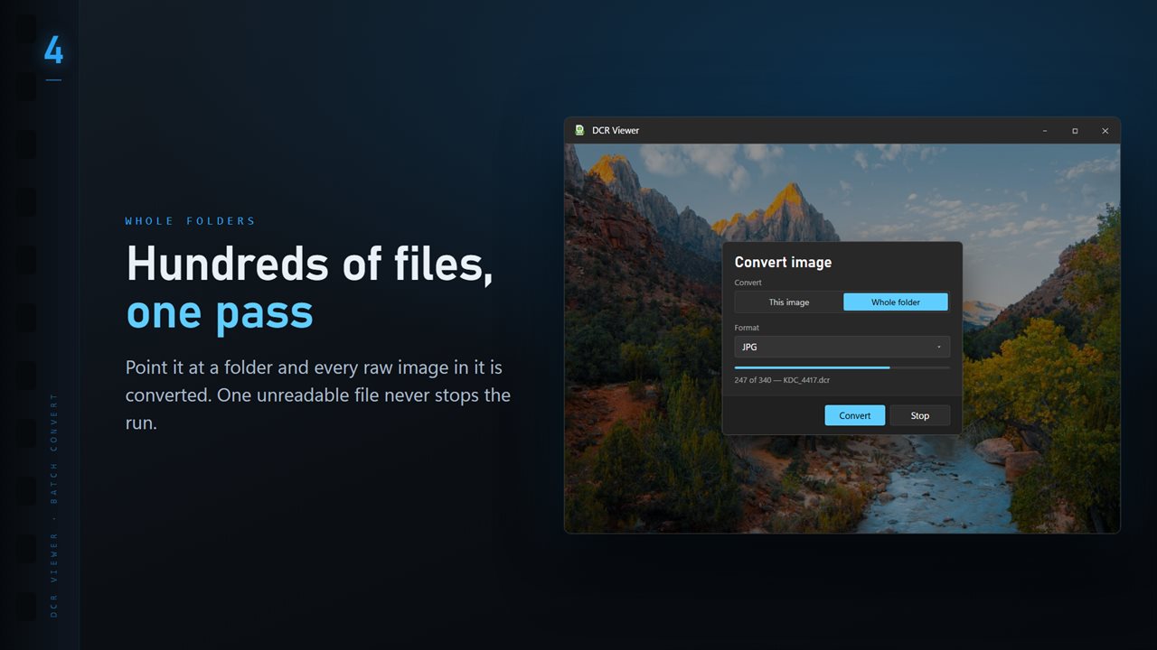 Convert a whole folder in one pass. One unreadable file never stops the run.