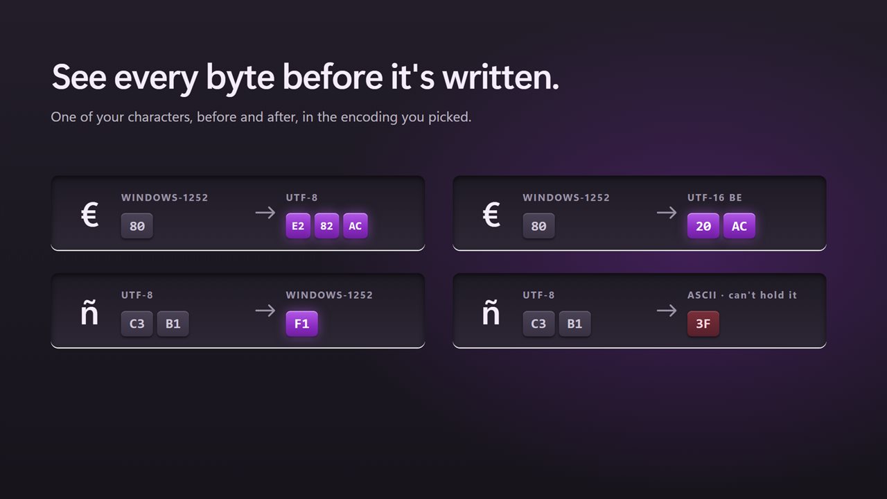 See the bytes before and after, for any encoding.