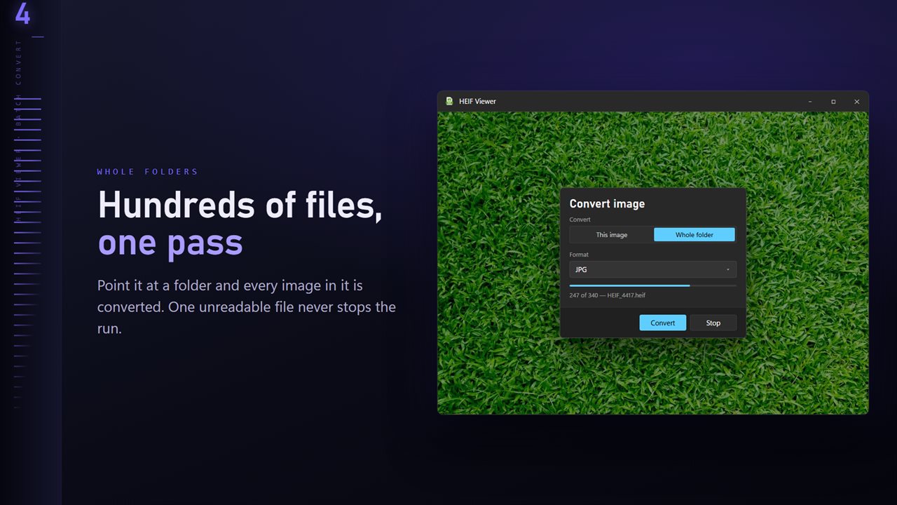 Convert a whole folder in one pass. One unreadable file never stops the run.