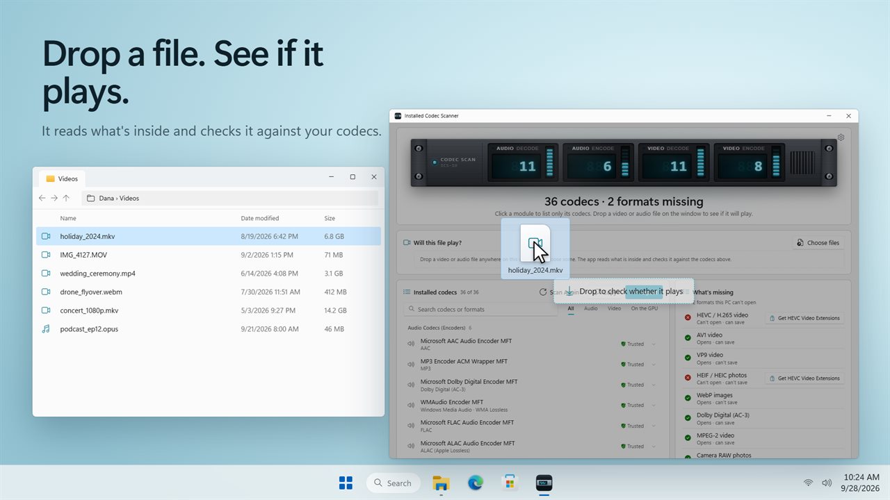 Drop a file on the window to see whether it plays.