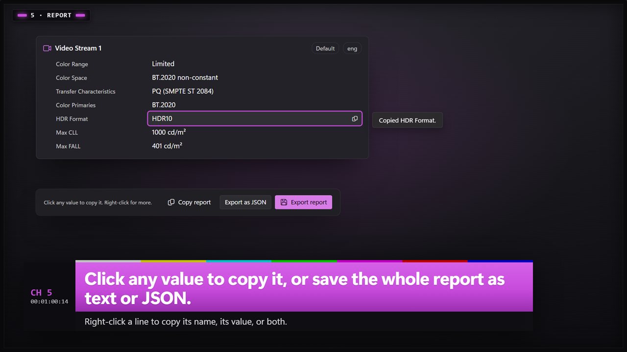 Click any value to copy it, or save the whole report as text or JSON.
