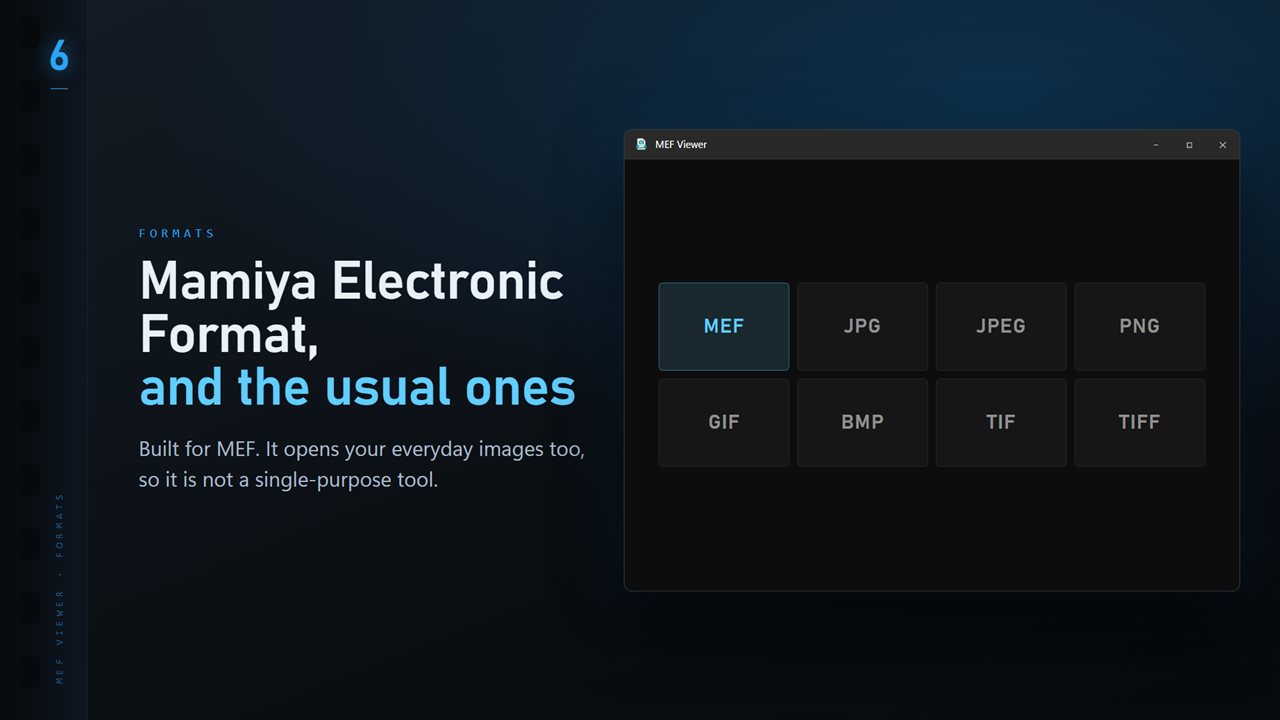 MEF plus the everyday formats: JPG, PNG, GIF, BMP and TIFF.