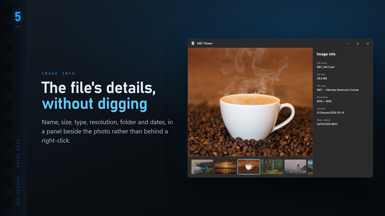 Name, size, type, resolution and dates, in a panel beside the image.