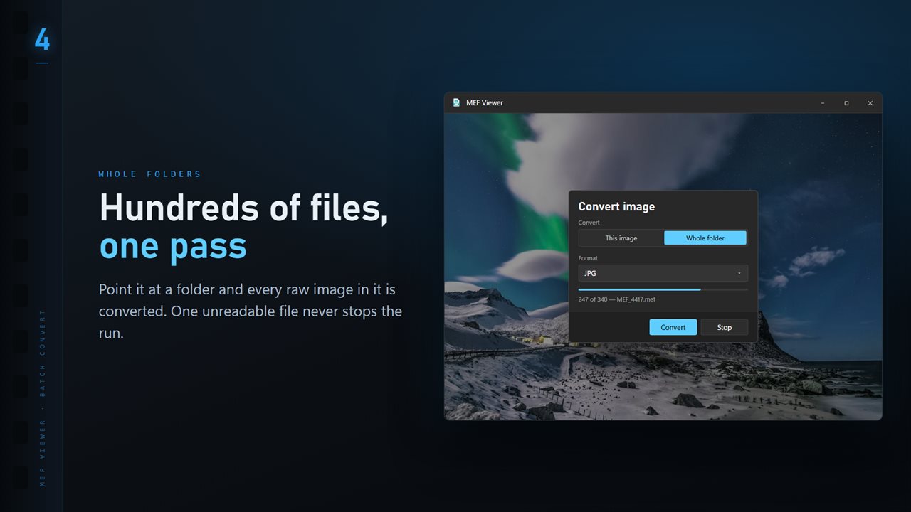 Convert a whole folder in one pass. One unreadable file never stops the run.