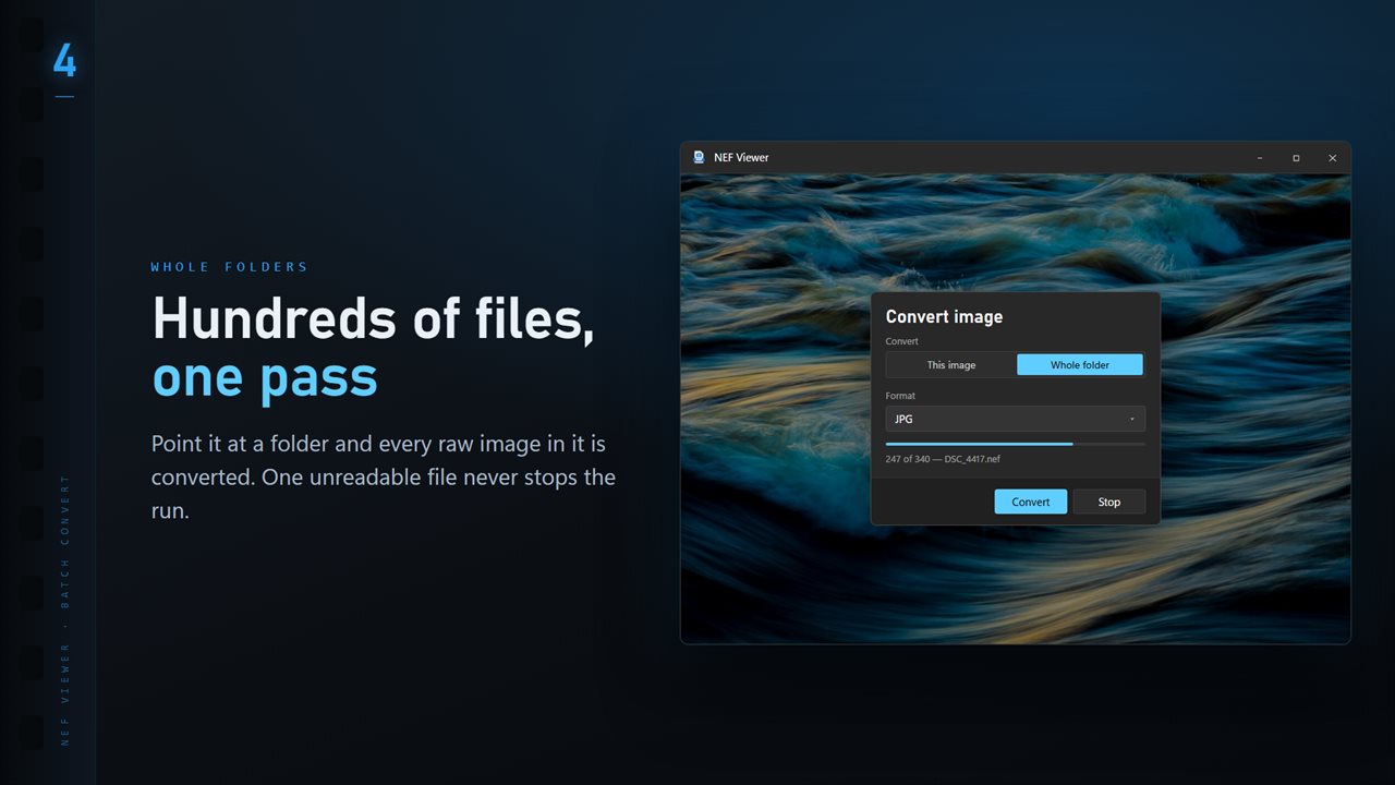Convert a whole folder in one pass. One unreadable file never stops the run.