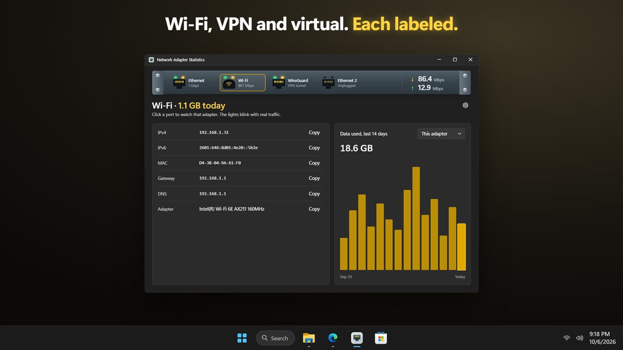 Wi-Fi, VPN and virtual adapters, each labeled.