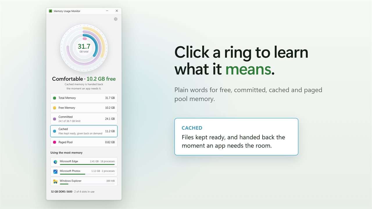 Click a ring to learn what it means.