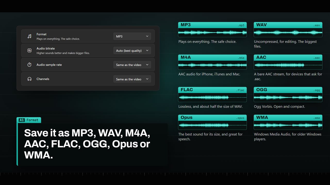 Save it as MP3, WAV, M4A, AAC, FLAC, OGG, Opus or WMA.