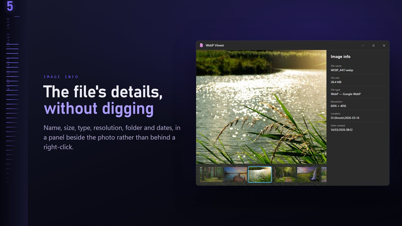 Name, size, type, resolution and dates, in a panel beside the image.