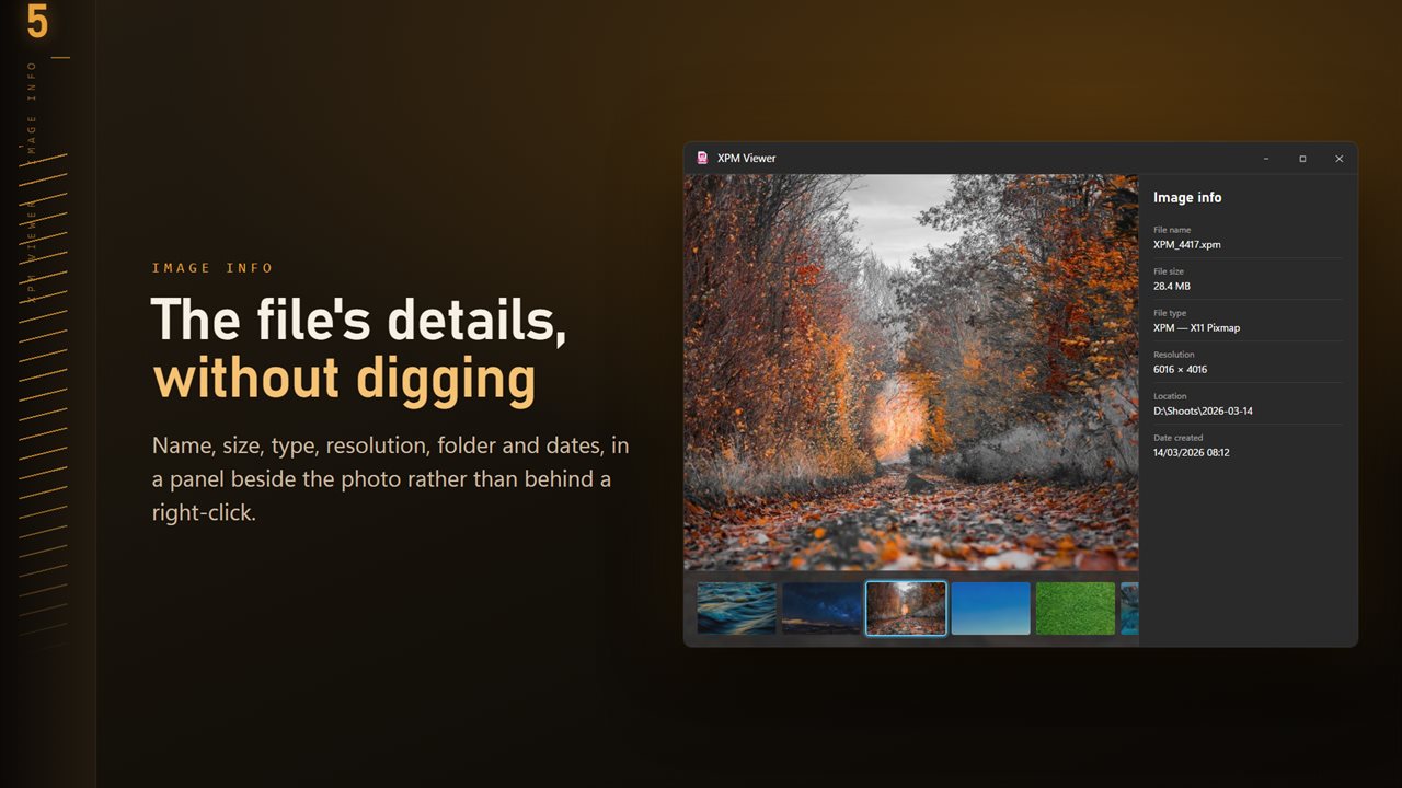 Name, size, type, resolution and dates, in a panel beside the image.